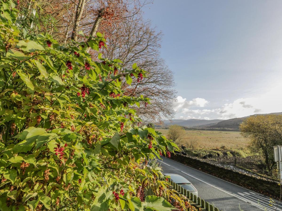Bryn Melyn Artist'S Cottage Llanelltyd Exteriör bild